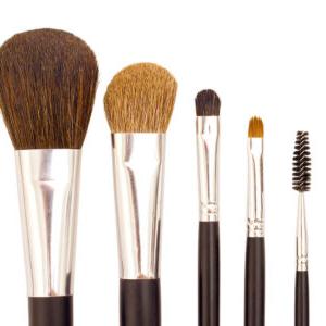 Five cosmetic brushes in various sizes